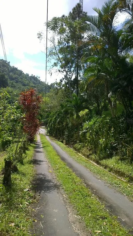 Havenridge Eco Place Ξενοδοχείο Port of Spain
